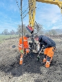 Die jungen Bäume werden gerade auf der Halbinsel Devin eingepflanzt