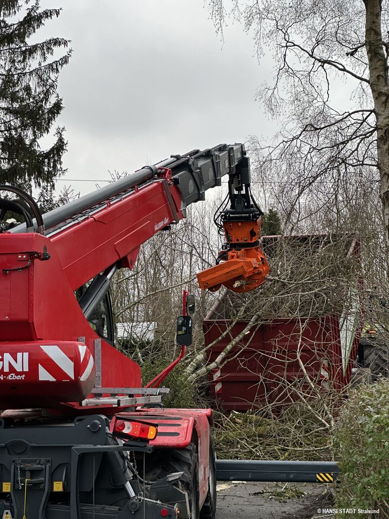 Mit dem Fällkran kann der Fahrer die Bäume fällen und das Holz ablegen wie benötigt