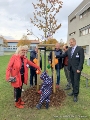 Die 2. Stellvertreterin des Präsidenten der Bürgerschaft, Maria Quintana Schmidt (l.) pflanzte zusammen mit Oberbürgermeister Alexander Badrow (r.) und dem amtierenden Kanzler der Hochschule, Alexander Wolff (2.v.r.) sowie weiteren Gästen einen Baum für die Kinder der Hochschule. Eins beteiligte sich mit Zipfelmütze gleich selbst aktiv am Gießen des Baumes.