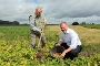 Oberbürgermeister Alexander Badrow (r.) und Obstgut-Chef Johannes Eggert buddeln gemeinsam Kartoffeln aus.